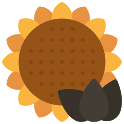 Sunflower seed icon