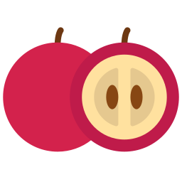 Berry icon