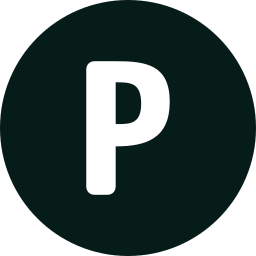 Letter p icon