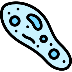 Paramecium icon