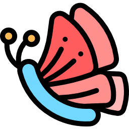 Butterfly icon