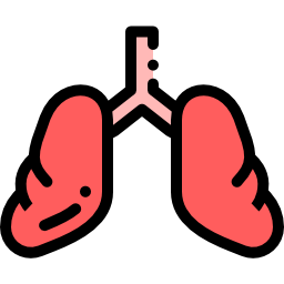 Lungs icon