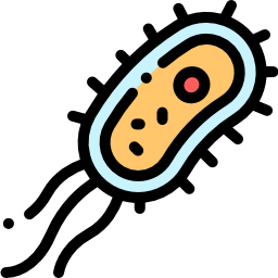 Bacteria icon