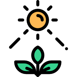 Photosynthesis icon