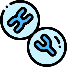 Chromosome icon