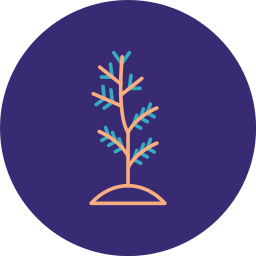 baum einpflanzen icon