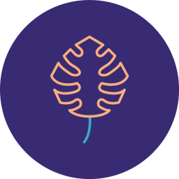 Monstera icon