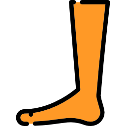 Leg icon