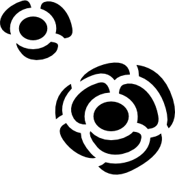 Flowers icon