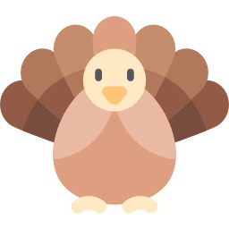 Turkey icon