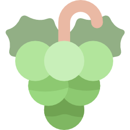 Grapes icon