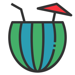 Watermelon juice icon