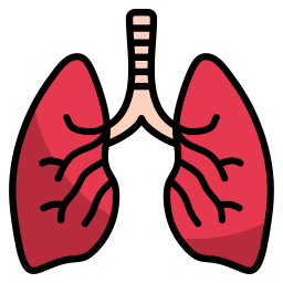 respiratoire Icône