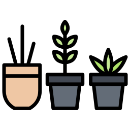 Indoor plants icon