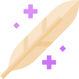 Feather icon