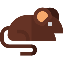 maus icon