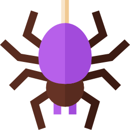 spinne icon