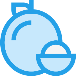 Longan icon