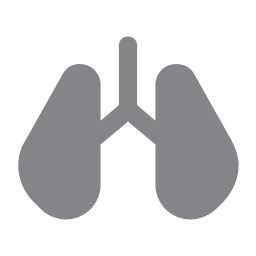 Lungs icon