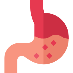 Stomach icon