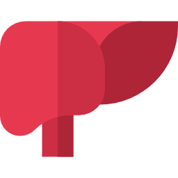 Liver icon