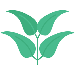 lotus icon