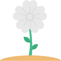 pain de marguerite Icône