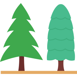 Pine tree icon