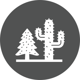 Cactus icon