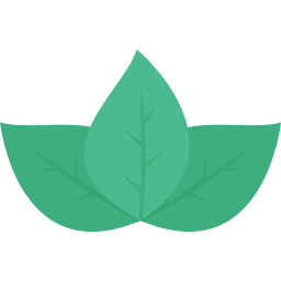 Leaves icon