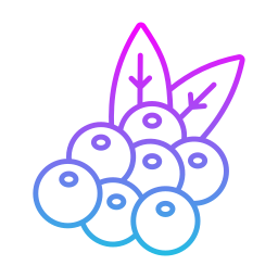 Berries icon