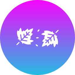 Dry leaves icon