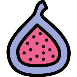 Fig icon