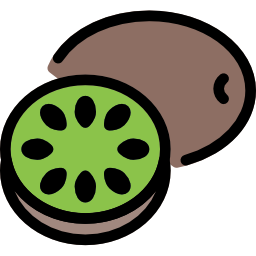 kiwi Icône