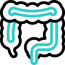 Colonoscopy icon