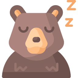 Bear icon