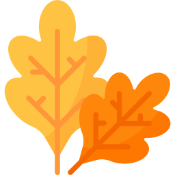 Oak leaf icon