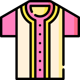 Baseball shirt icon