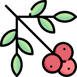 beeren icon