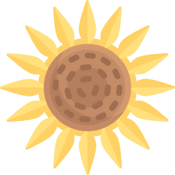 sonnenblume icon