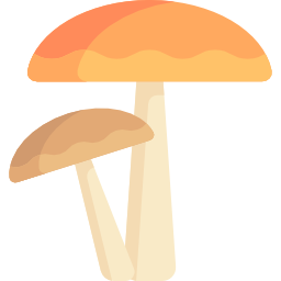 funghi icona