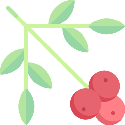 beeren icon