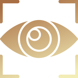 Vision icon