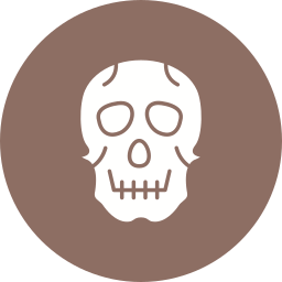 Skull icon