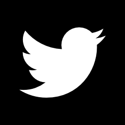 twitter иконка