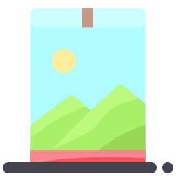 Window icon