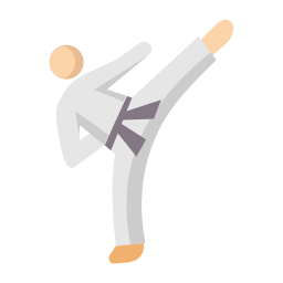 taekwondo icoon