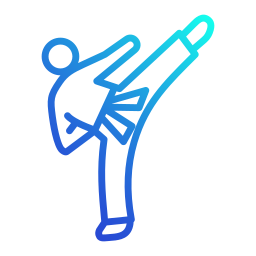 Taekwondo icon