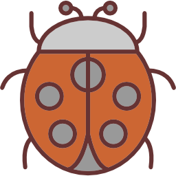 Ladybug icon