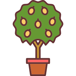 Lemon tree icon